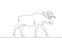 Continuous Single Drawn Single Line Elk With Horns