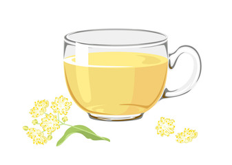 Linden tea. Hot medical drink with tilia flowers in a glass cup Isolated on a white background. Vector illustration in cartoon simple flat style.