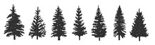 Silhouettes Of Spruce. Vector Graphics. Hand Drawing. Eps