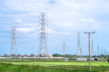 Electricity pylon on the rice field