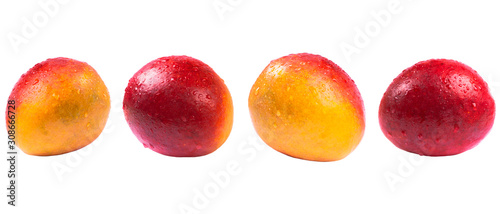Fotografía Mango fruit with water drops isolated on white background