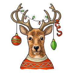 Wall Mural - Deer with christmas garland dressed in sweater. Vintage color engraving