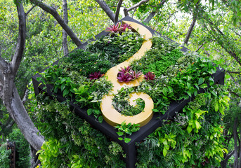 Wall Mural - Vertical gardening arrangement in the park.