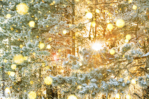winter snowy landscape with forest and sun