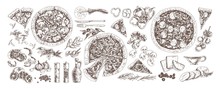 Pizza And Ingredients Monochrome Set. Pepperoni, Pizza With Mushrooms And Seafood Hand Drawn Vector Illustrations Collection. Shrimp, Garlic, Chanterelles, Cherry Tomatoes And Broccoli.