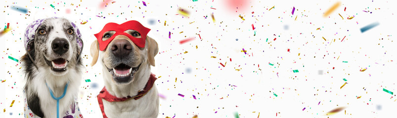 Wall Mural - Banner two dogs celebrating carnival, halloween, new year dressed as a veterinarian and hero with red mask, cape  costume. Isolated on white background with confetti falling