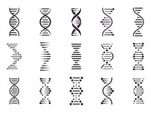 Spiral DNA Icon. DNA Molecule Helix Spiral Structure, Medical Science Chromosome Concept, Biology Genetic Symbols Isolated Vector Icons Set. Biochemistry. Deoxyribonucleic Acid Chain. Genetic Code