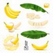3d realistic vector set of banana fruits, bunch of bananas, peel, peeled banana, slices and halves, leaves from a banana palm, splash of banana in milk or juice