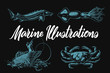 Set of vector marine illustrations with sturgeon, squid, crab and fishing boat