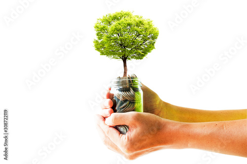 Fotografía Tree glowing on coins inside jar with two hand holding on white background