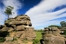 The Gritstone Rock Formations At Brimham Rocks, Nidderdale, North Yorkshire, England, UK