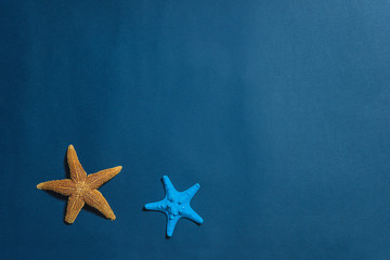 Beach holidays concept. Two starfishes on the dark blue background. Copy space, flat lay