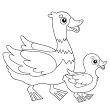 Coloring Page Outline Of Cartoon Duck With Duckling. Farm Animals. Coloring Book For Kids.