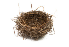 Bird Nest Isolated
