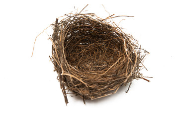 bird nest isolated