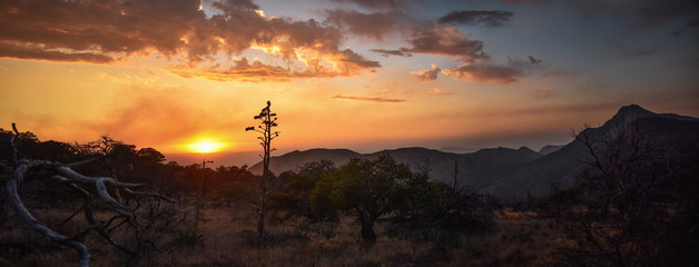 sunset at Big Bend National Park