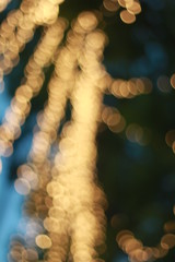 Wall Mural - Bokeh around the grand palace