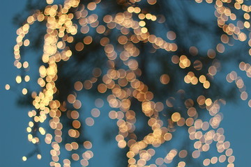 Wall Mural - Bokeh around the grand palace