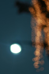 Wall Mural - Bokeh around the grand palace