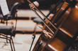 © SirChopin - Side views of classical instruments - violin, double basses, cellos, closeup of hands