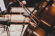 © SirChopin - Side views of classical instruments - violin, double basses, cellos, closeup of hands