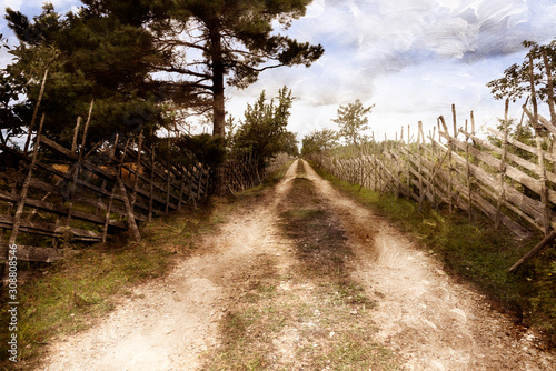 Fotomural Landscape on the island Gotland, Sweden, with country road and typical wooden fences