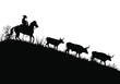 A vector silhouette of a working ranch cowboy herding texas longhorn cows down a hill.
