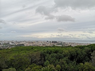 panorama of the city