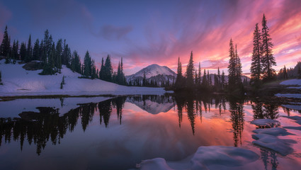 Wall Mural - sunset over mt rainier at tipsoo lake in the mt rainier national park