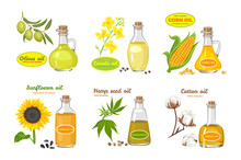 Vector set of seed oils isolated on white. Illustration in flat style. Sunflower, olives, corn, cotton, hemp and canola oil in glass jar. Flowers and seeds.