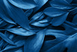 © Olena Rudo - Tropical leaves and monstera leaf toned classic blue color