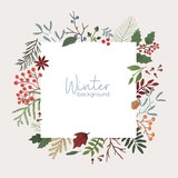 Fototapeta Kwiaty - Winter botanical vector background. Xmas color backdrop with text space. Mistletoe, juniper, pine cones and coniferous branches composition. Border, square banner template with place for text.