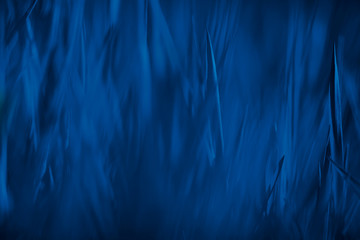 Color of the year 2020 trendy dark blue nature background.