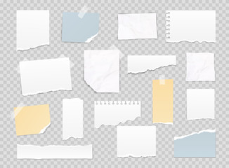 Collection of various note papers, banner set. Different scraps of paper stuck by sticky tape. Vector illustration.