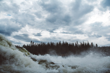 Wall Mural - waves and splashes of mountain river on background of forest, rocks and dramatic sky. forest river w