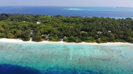 Wall Mural - Aerial view of pristine tropical island with white sand, palm trees and turquoise water on a sunny day