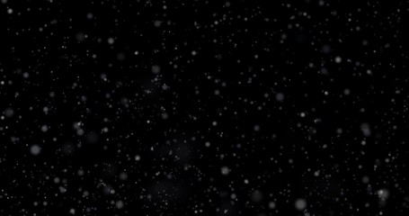 Wall Mural - Natural white winter snowfall on a black background