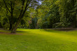 © Артём Князь - idyllic peaceful park outdoor nature scenic spring time environment green grass meadow smooth ground surface surrounded by trees foliage without people