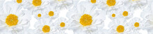 Banner Loral Pattern Of White Peonies With Yellow Centers