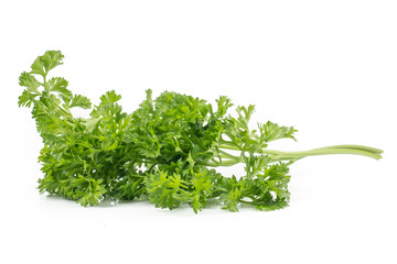 Fresh parsley green leaves (Petroselinum crispum) isolated on white background