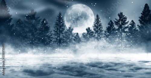 Plakaty księżyc   ciemne-zimowe-tlo-lasu-w-nocy-snieg-mgla-swiatlo-ksiezyca-ciemne-neonowe-tlo-nocy-w