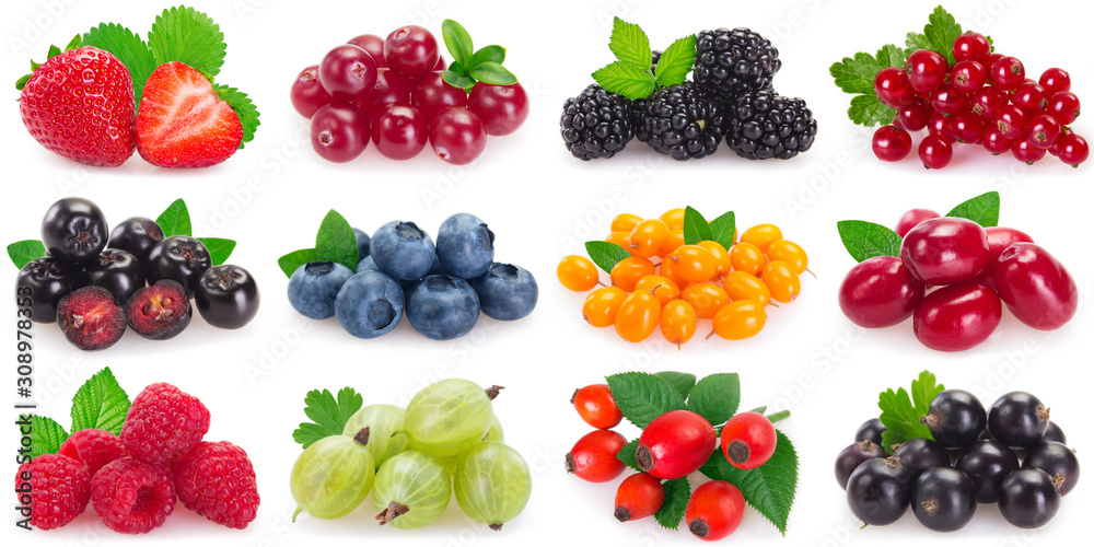 Collection of fresh berries on white background - obrazy, fototapety, plakaty 