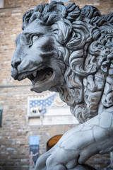 Wall Mural - Lion at Loggia dei Lanzi, Piazza della Signoria, Florence, Italy. Renaissance of statue 1600 by Flaminio Vacca.