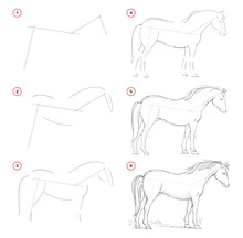 How To Draw From Nature Sketch Of Standing Horse. Creation Step By Step Pencil Drawing. Educational Page For Artists. School Textbook For Developing Artistic Skills. Hand-drawn Vector Image.