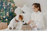 Fototapeta Psy - Children, animals and winter holidays concept. Charming little European girl unpacks gift box, poses on floor together with pedigree puppy, prepare for New Year and Christmas celebration. Festive time