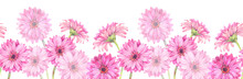 Floral Seamless Border Of Pink Gerbera Flowers. Hand Drawn Watercolor Illustration.