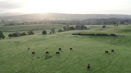 Wall Mural - Aerial View over Scenic Countryside in UK