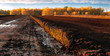 Rows of cutted peat at an excavation side in a peat bog at Northwestern Germany