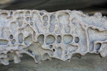 A piece of the rock face on a cliff edge near Byron Beach outside sydney showing the effect of weathering and climate influences