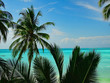 Urlaub Paradies Palmen Reisen Zanzibar